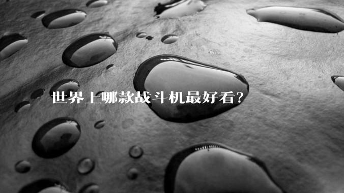 世界上哪款战斗机最好看？